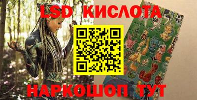 Альфа ПВП Можга