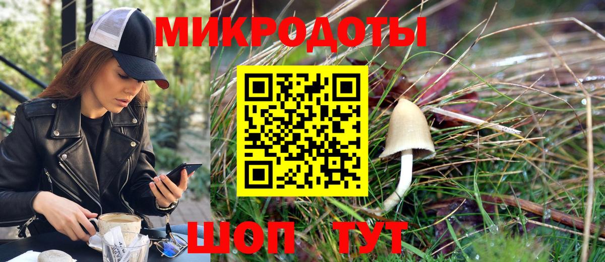 Галлюциногенные грибы Cubensis  Вход с VPN  купить наркотики цена  Холмск 